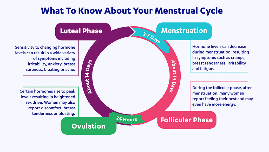 Understanding Your Menstrual Cycle And Phases Create Health